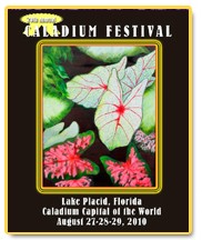Lake Placid FL Caladium Festival